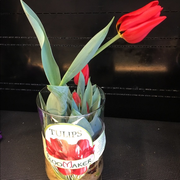 Meet your Posher - Picture 1 of 1